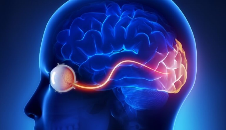 Neuro-ophthalmology